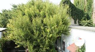 Гостиница Guest House Yut Na Gorkogo Анапа-3